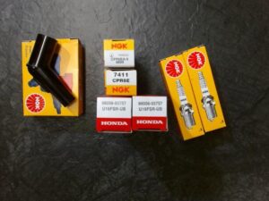 SYTYTYSTULPAT, TULPANHATUT