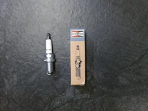 3021671_Sytytystulppa_RC7YC3_jpg